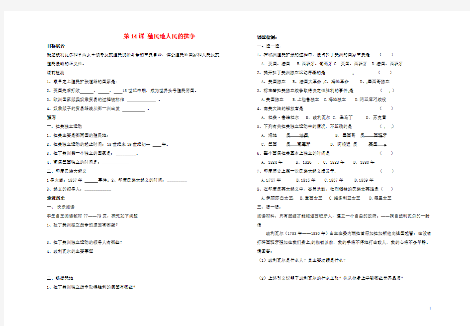 湖南省茶陵县九年级历史《第14课 殖民地人民的抗争》学案(无答案)