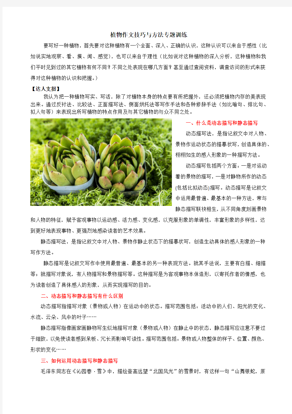 植物作文技巧与方法专题训练