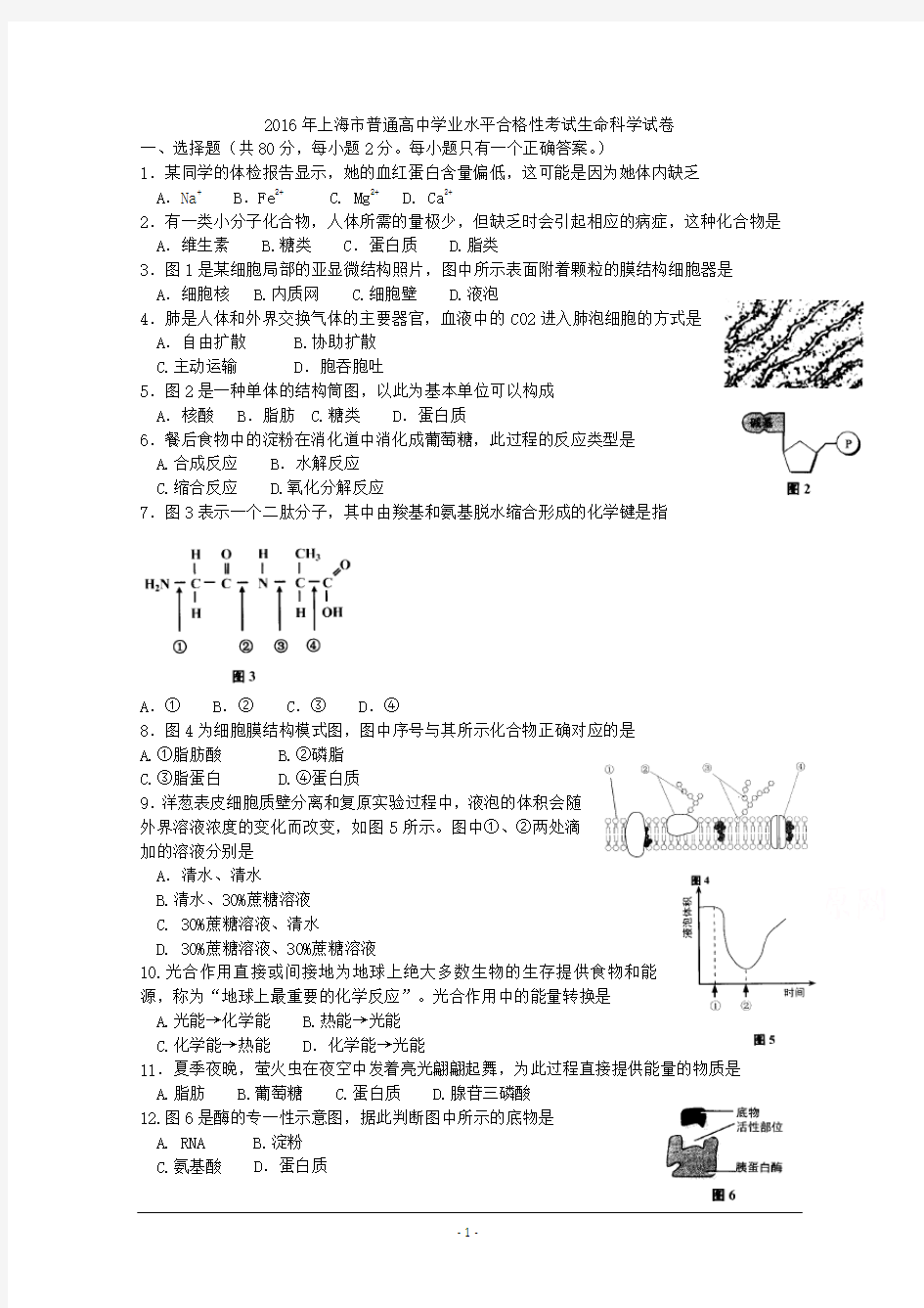 2016年上海市普通高中学业水平合格性考试生物试卷考】