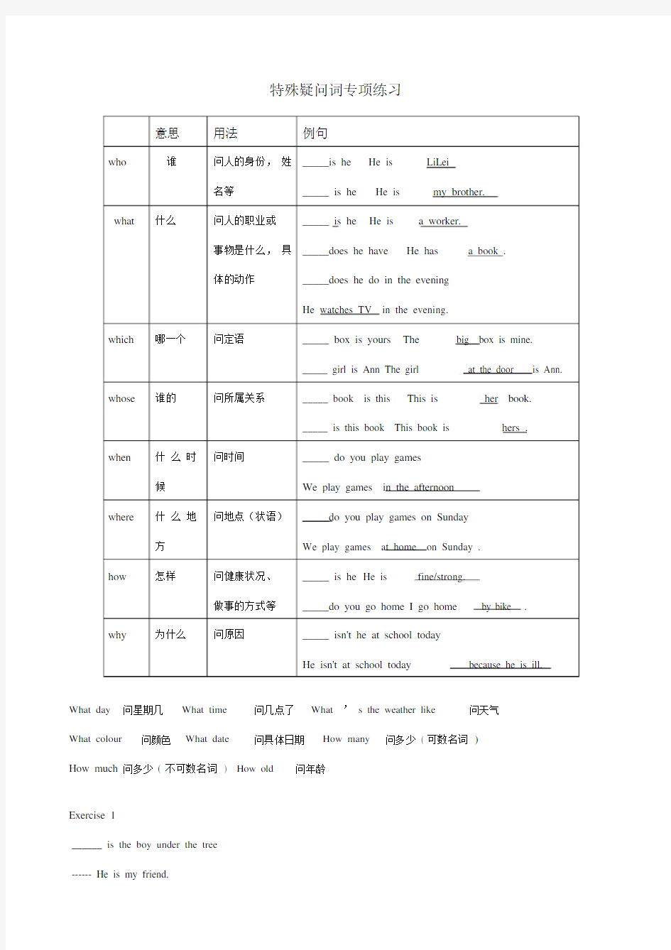 特殊疑问词讲解及练习.docx