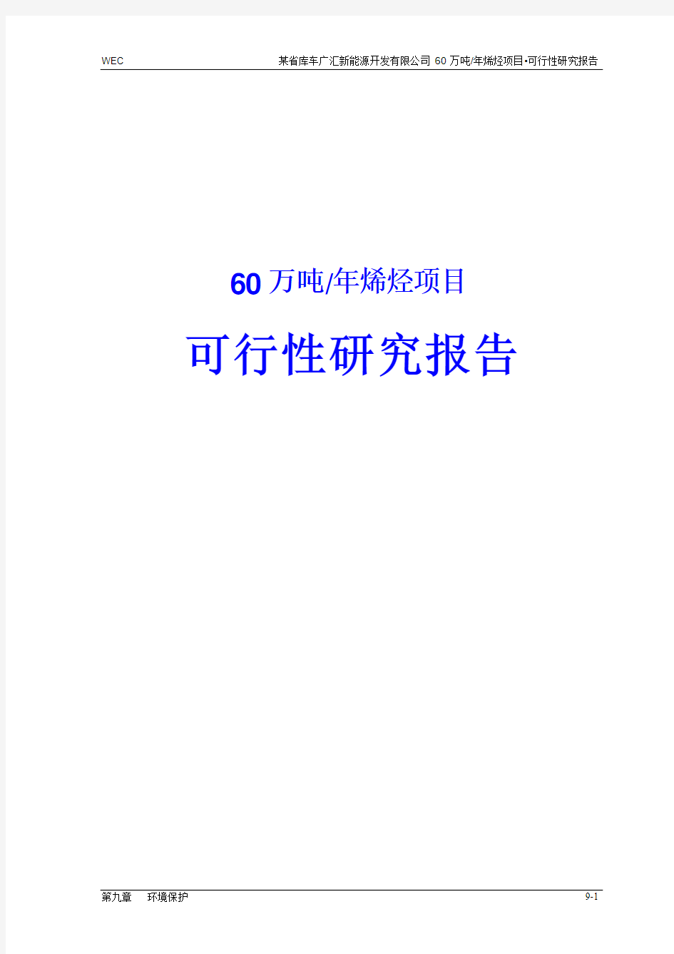 60万吨烯烃项目可行性研究报告