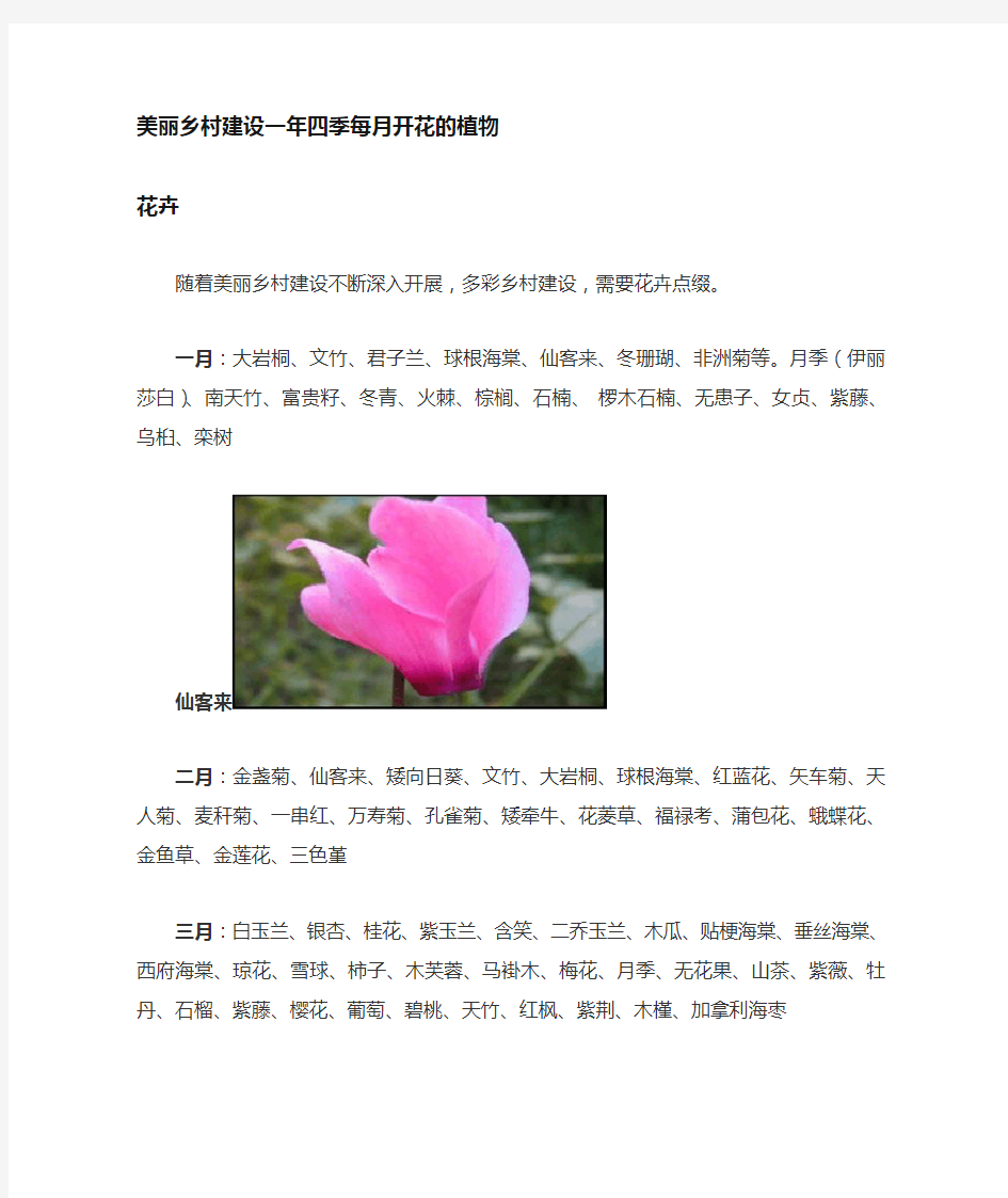 美丽乡村建设庭院美化常用四季开花的植物花卉