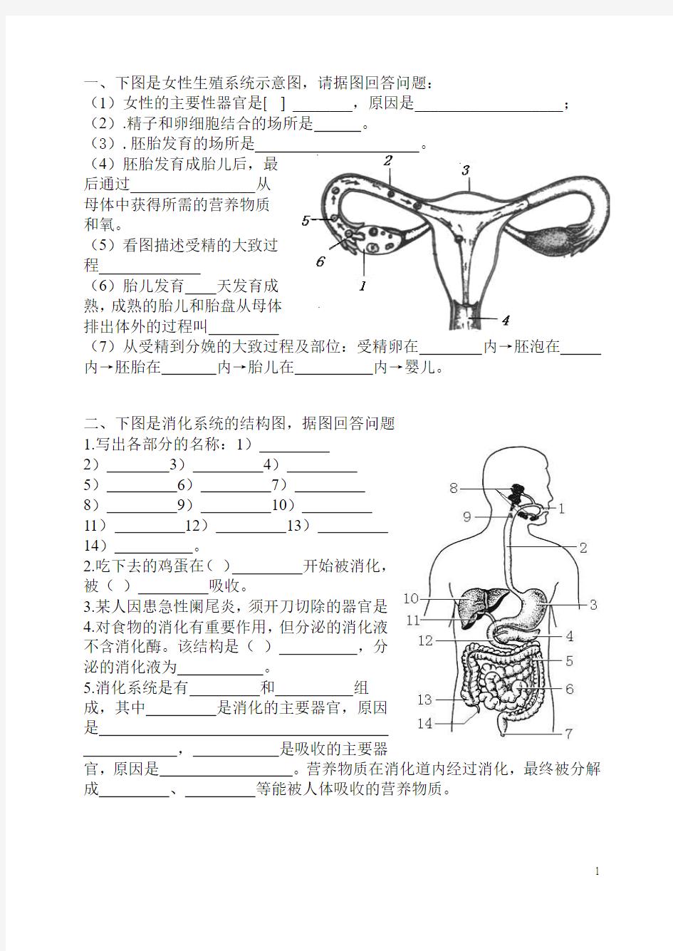 初中生物七年级下册复习资料-填图