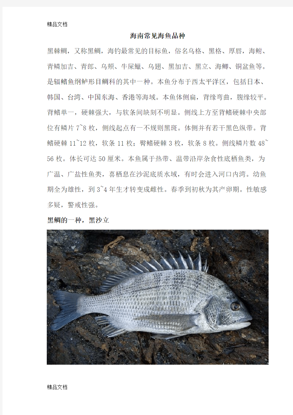 (整理)海南常见海鱼品种
