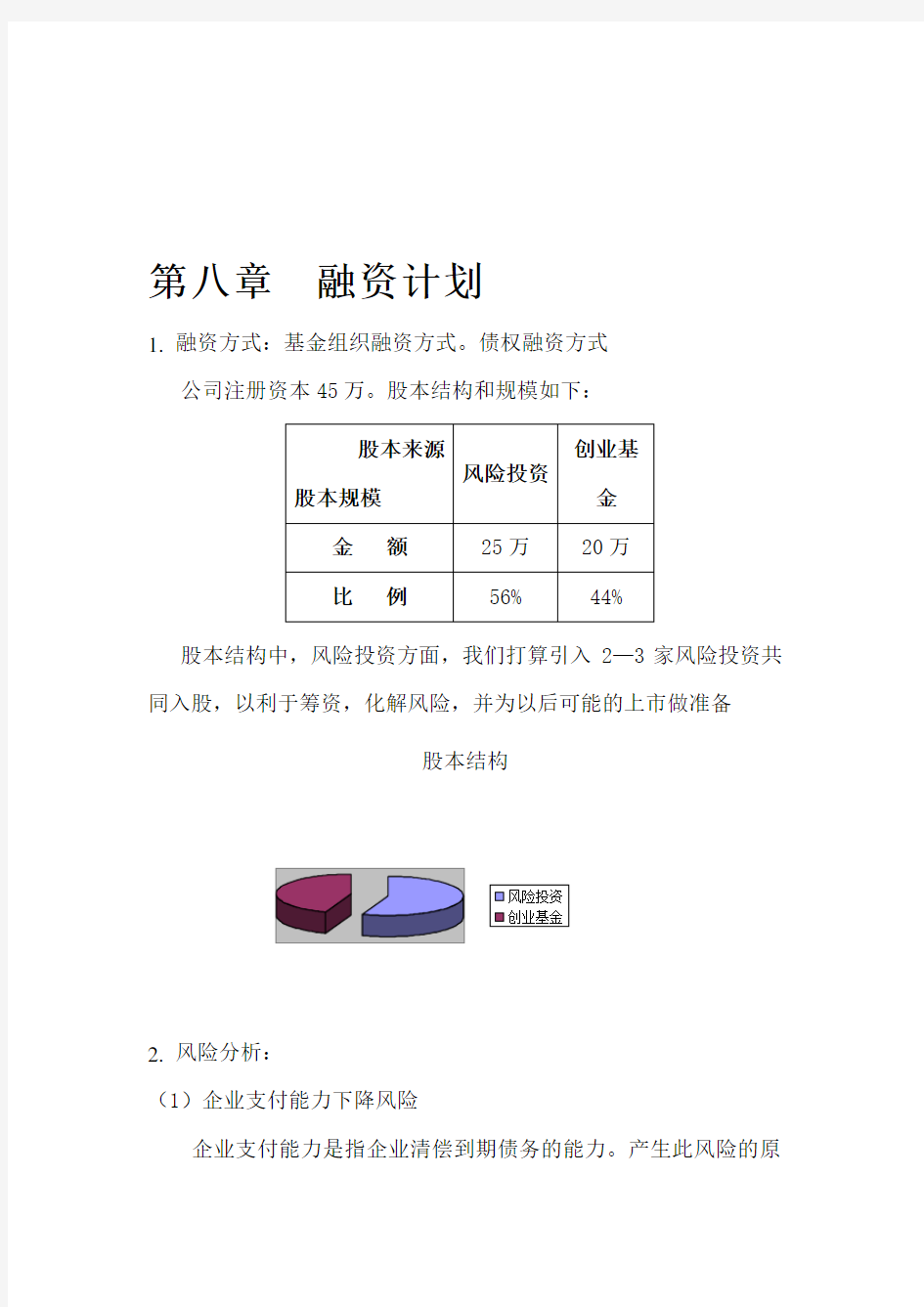 融资计划与风险分析