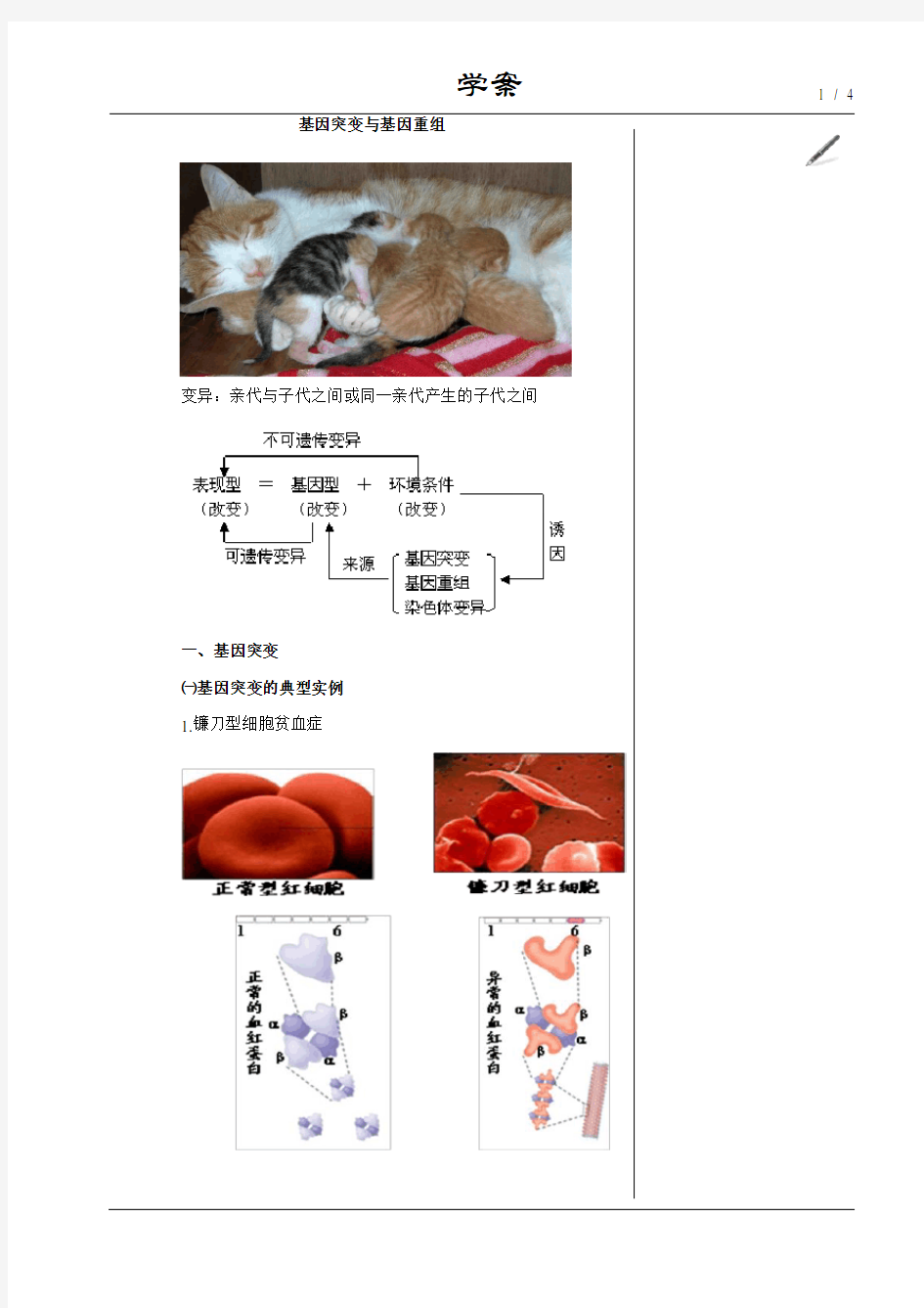 高一生物课堂学案 06生物的变异和进化 01基因突变和基因重组