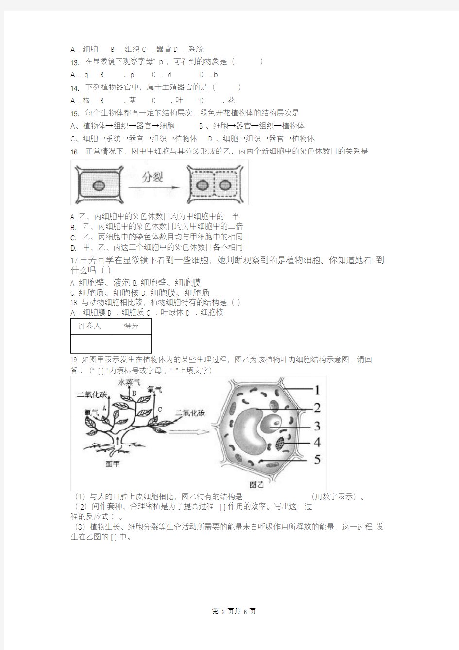 人教版七年级上册生物第二单元测试题(附答案)