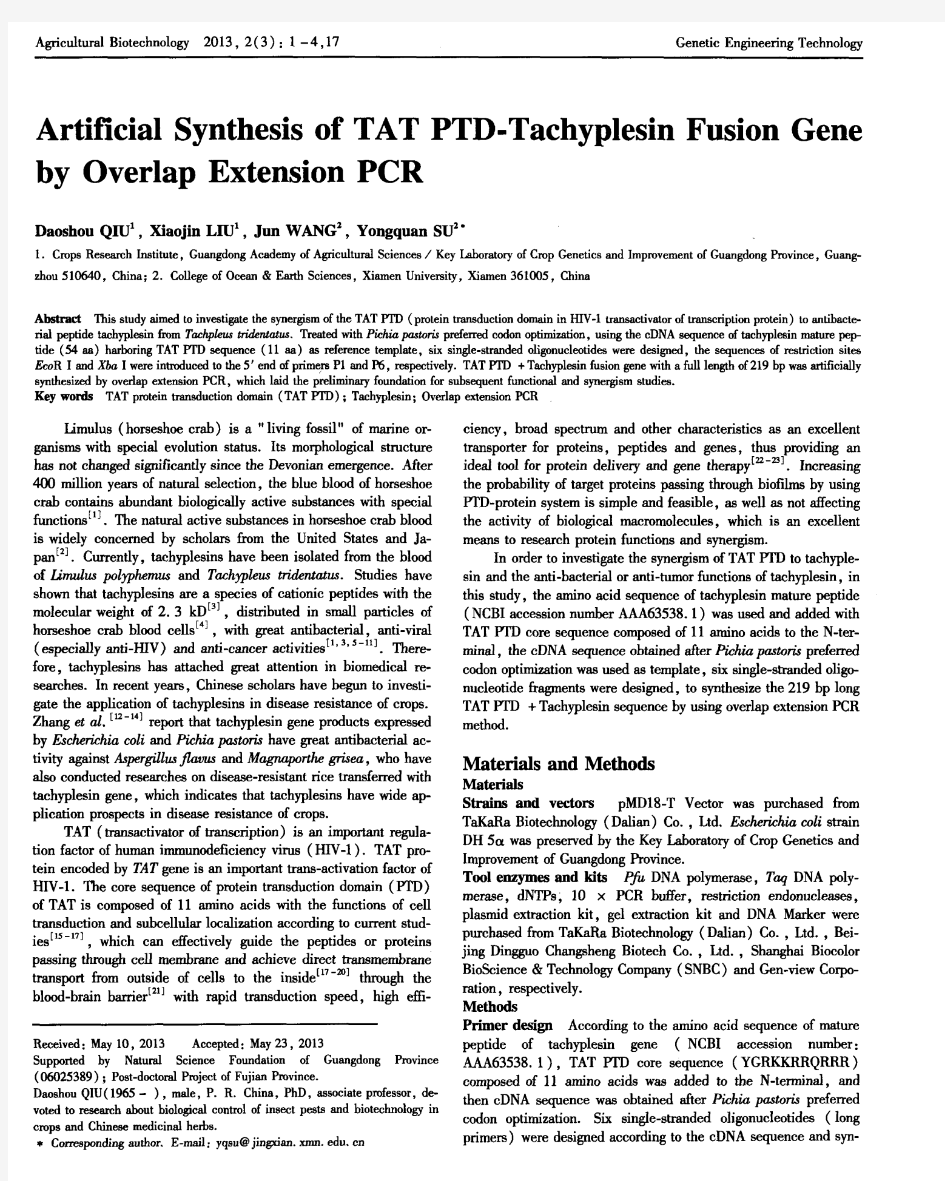 rtificial Synthesis of TAT PTD-Tachyplesin Fusion Gene bv Overlao Extension PCR
