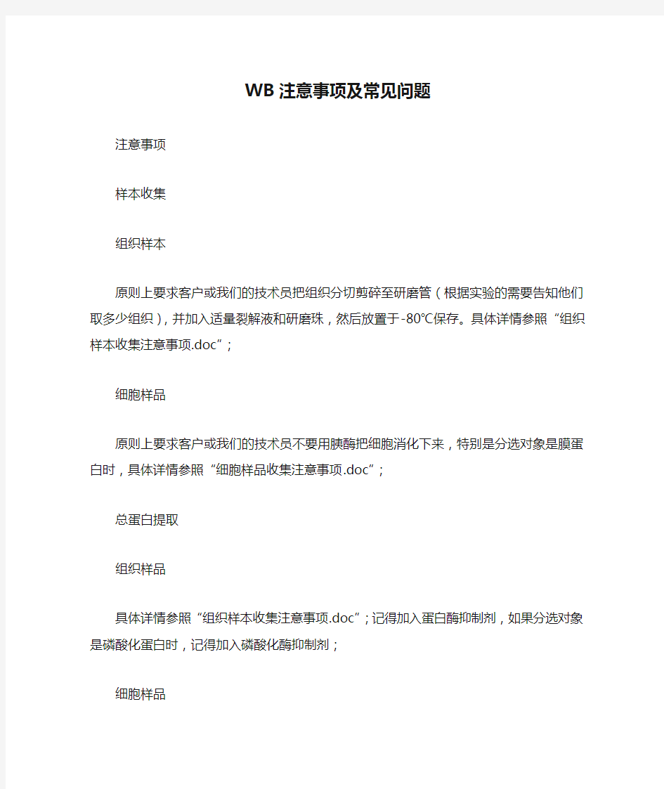 WB注意事项及常见问题