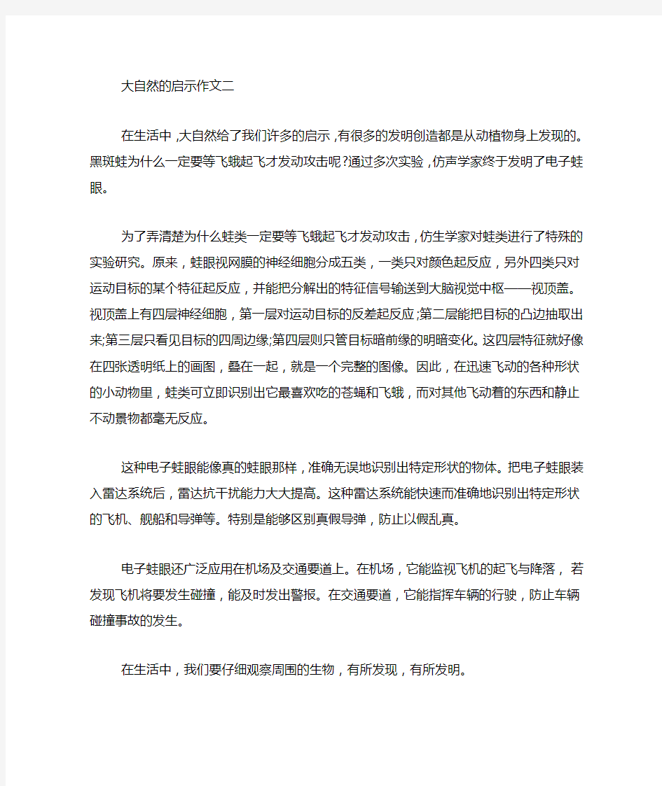 来自大自然的启示作文五篇