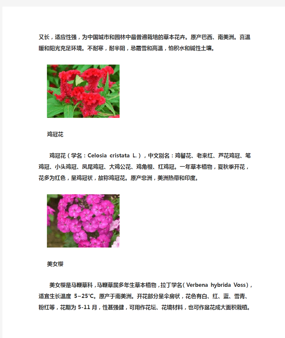 花卉种子分类及其习性介绍