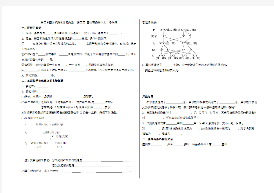 基因和染色体的关系导学案