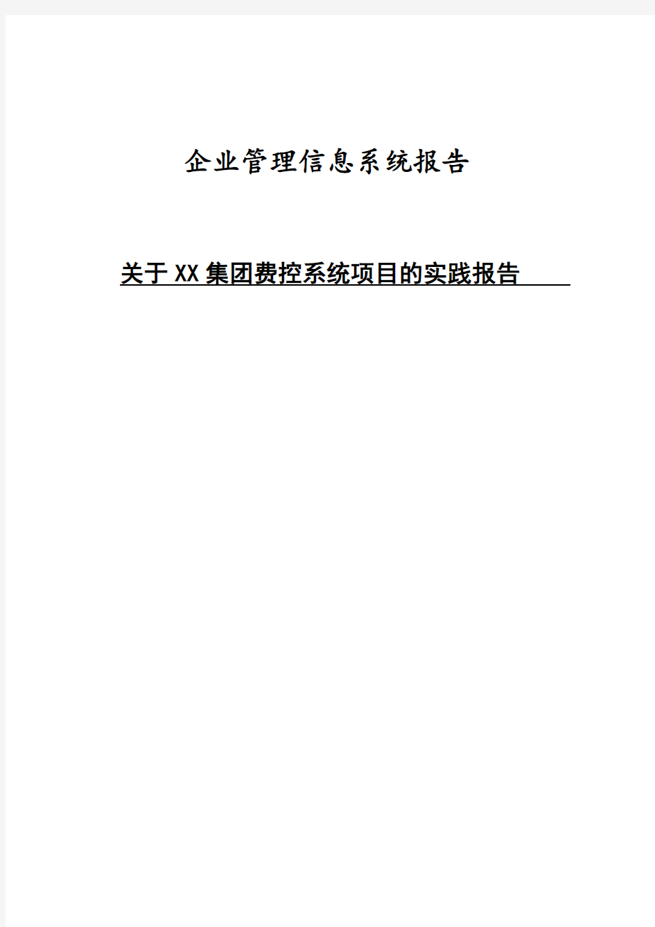 企业管理信息系统报告