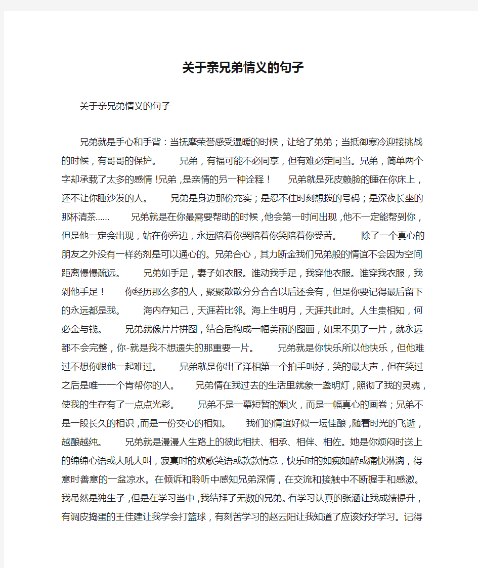 关于亲兄弟情义的句子