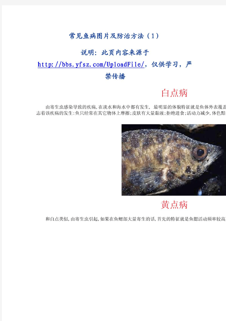 常见鱼病图片及防治方法(1)