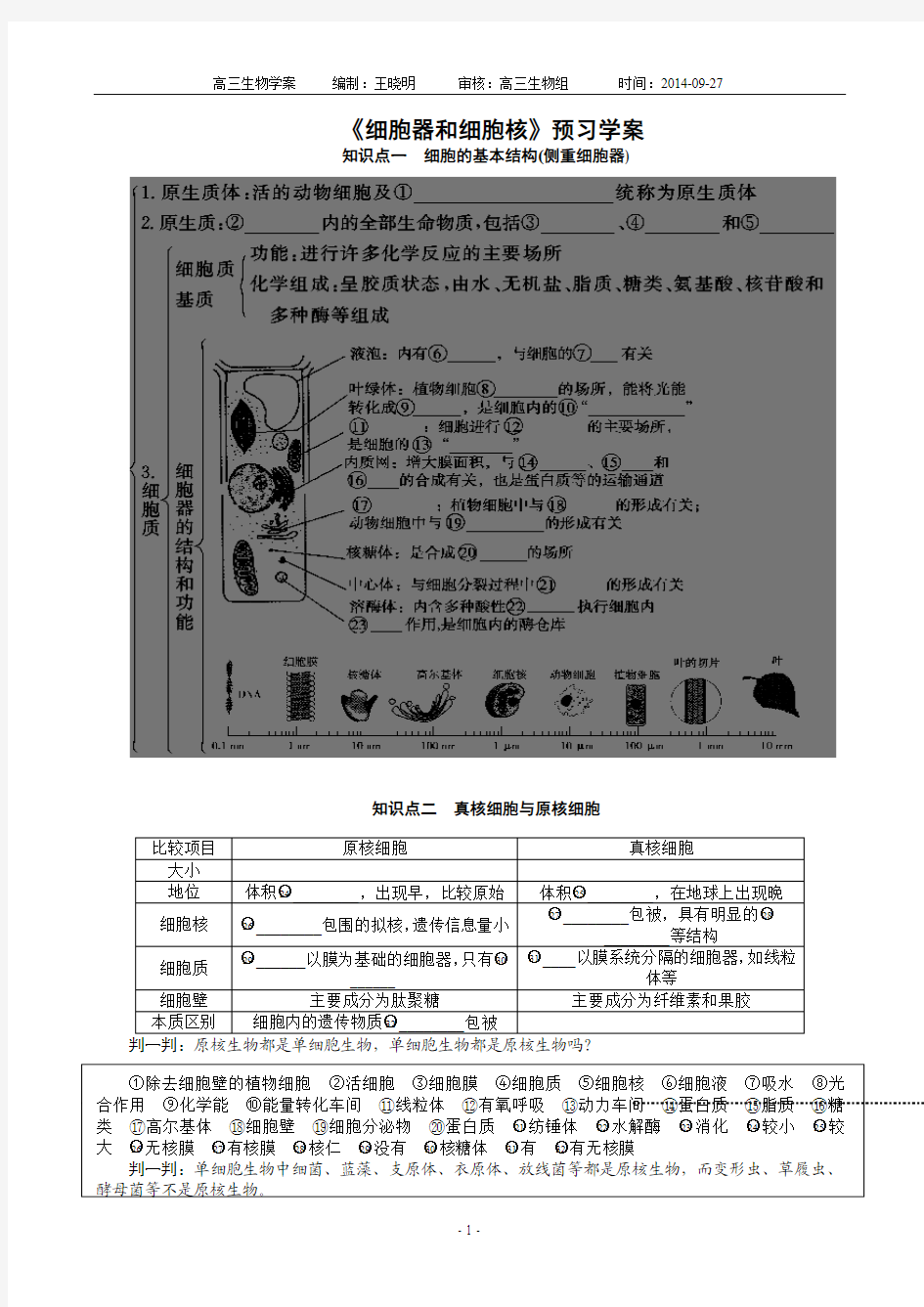 细胞核和细胞器