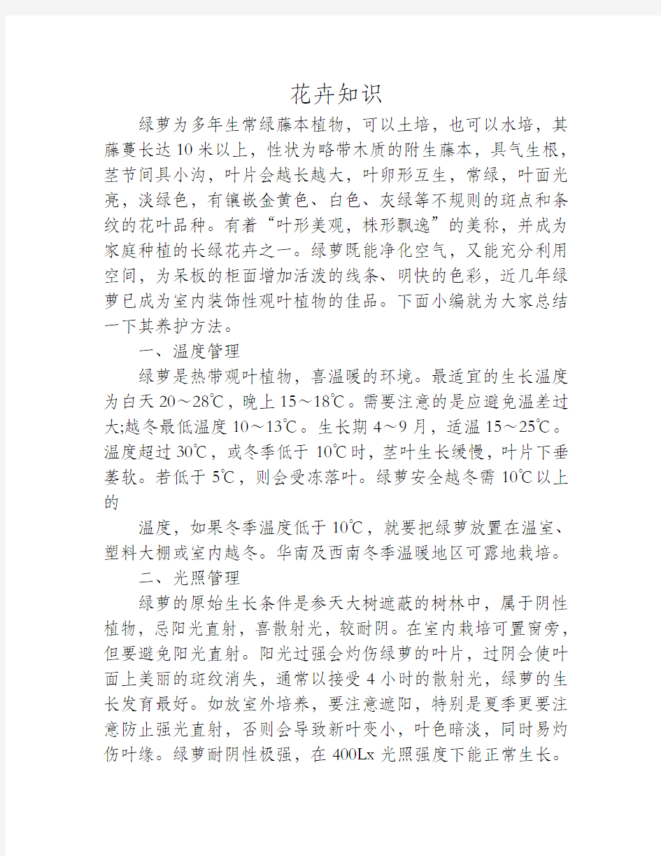 绿萝的养护管理方法