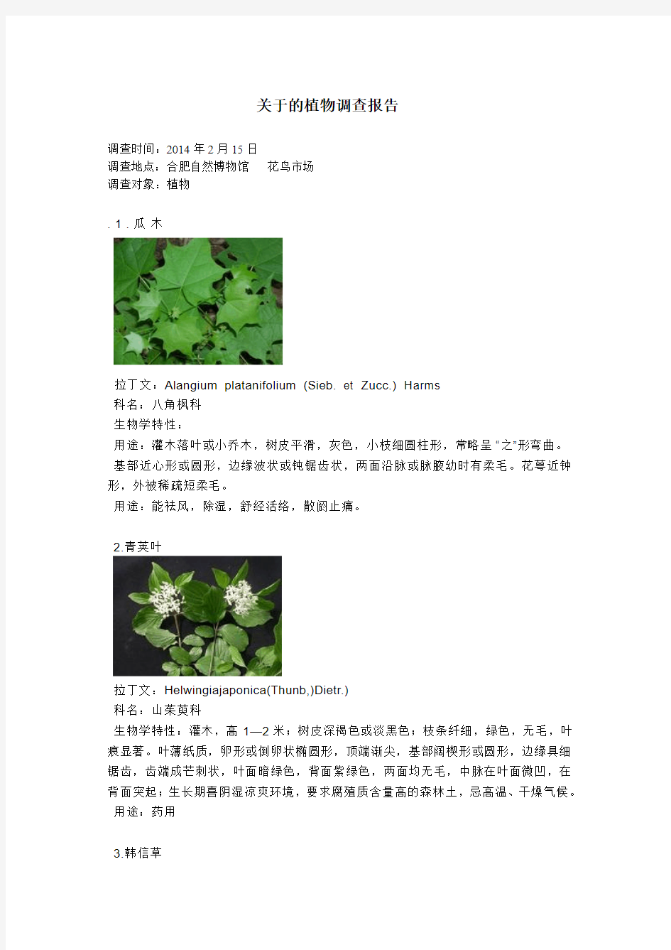 植物调查报告