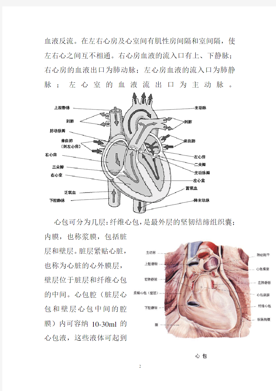 心脏的解剖结构及生理(含彩图)