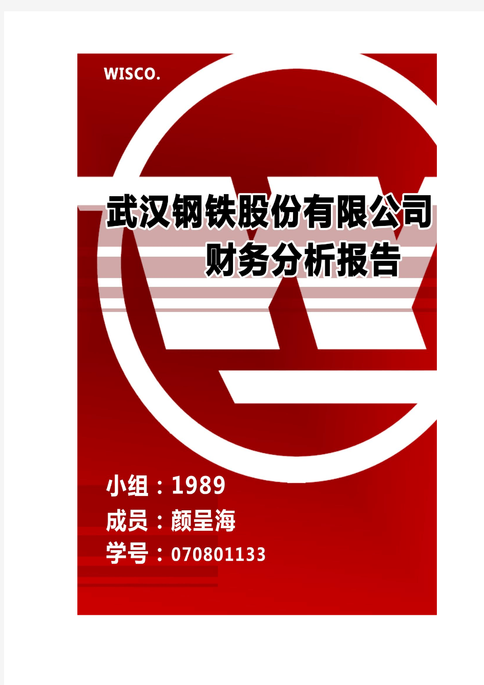 武汉钢铁股份有限责任公司的财务分析报告