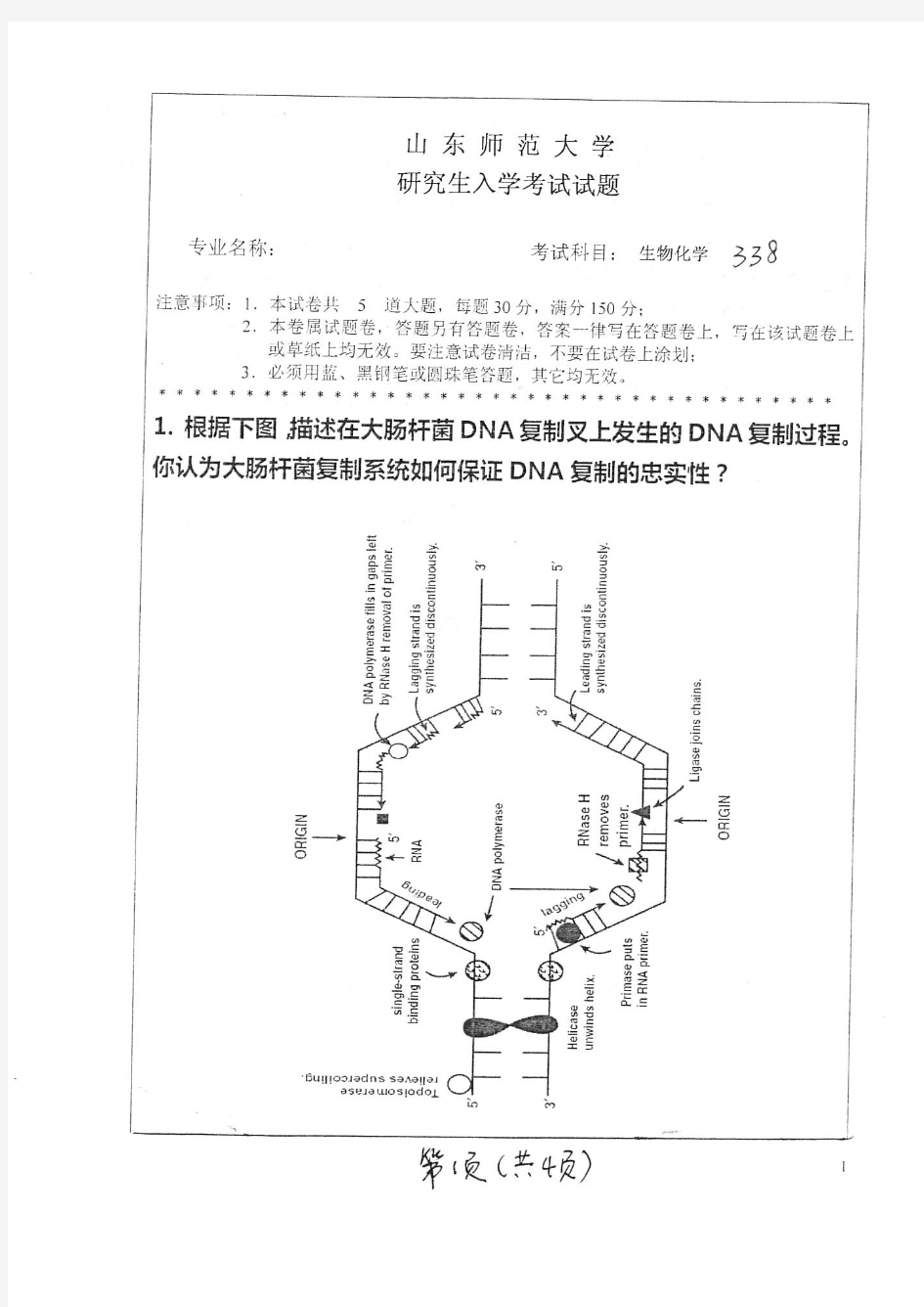 山东师范大学生物化学(338)2016--2018年考研真题试卷