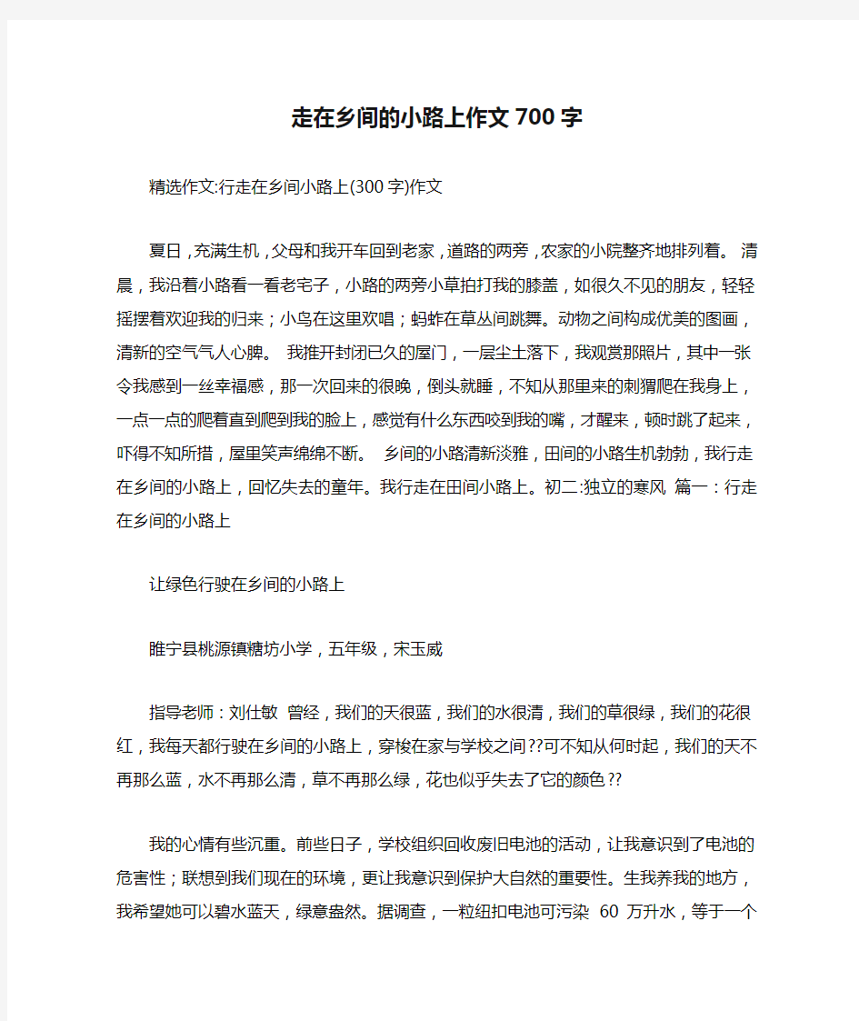 走在乡间的小路上作文700字