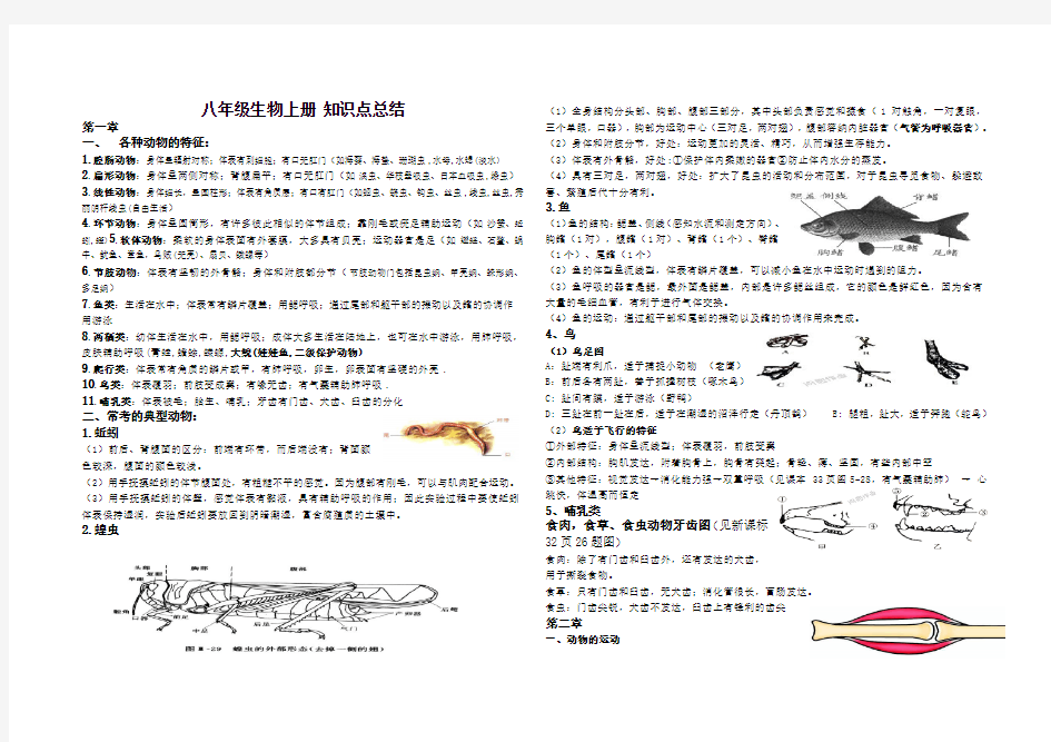 人教版八年级生物上册知识点总结(完美版)