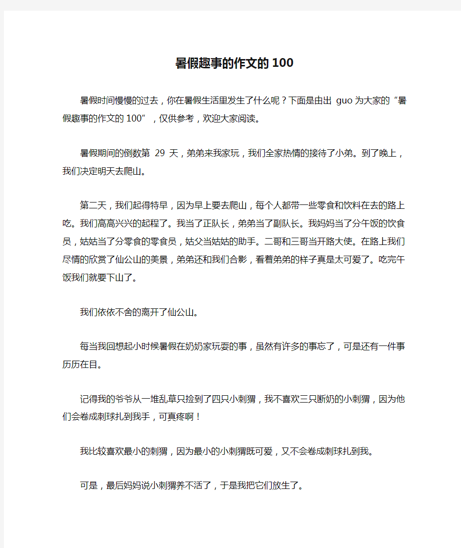 暑假趣事的作文的100