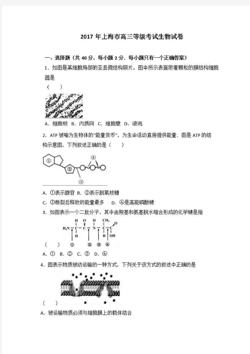 【等级考】2017年上海生物等级考试试卷---附答案