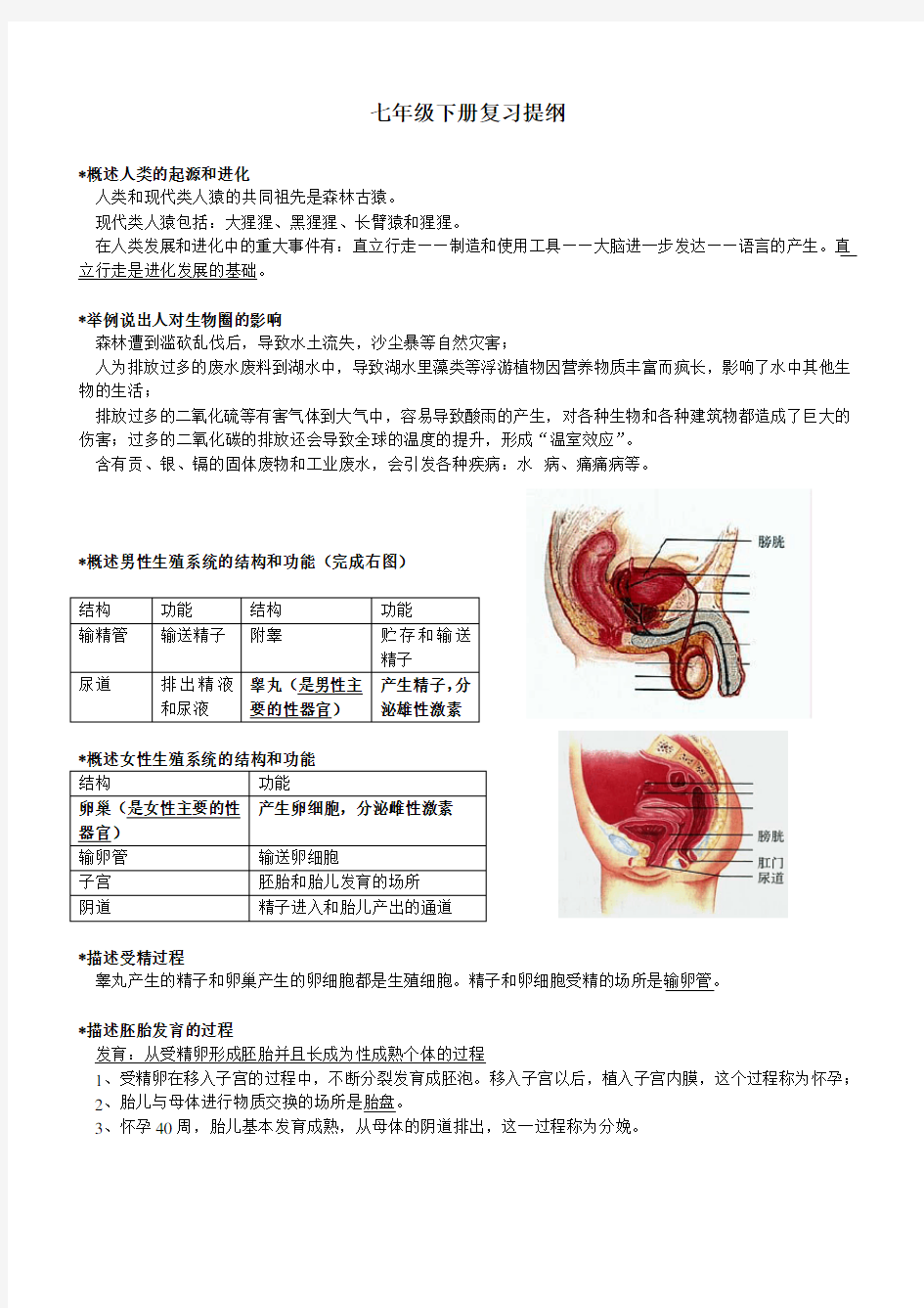 生物七年级下册期末复习提纲_重点