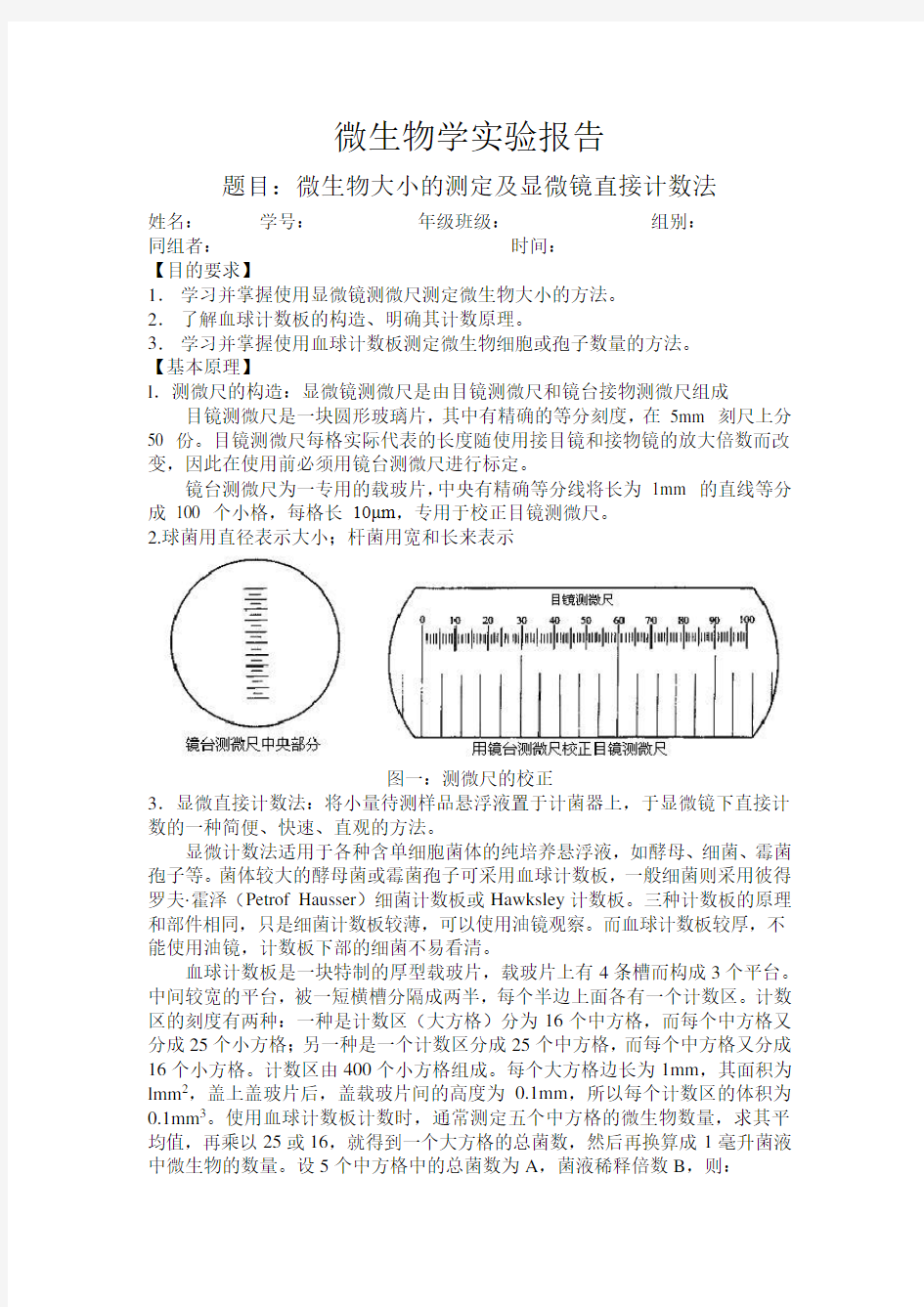 微生物大小的测定及显微镜直接计数法