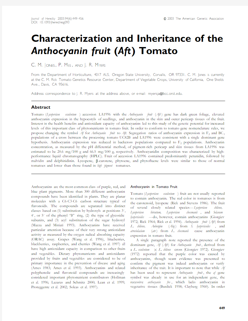 aft tomato reprint(anthocyanin)