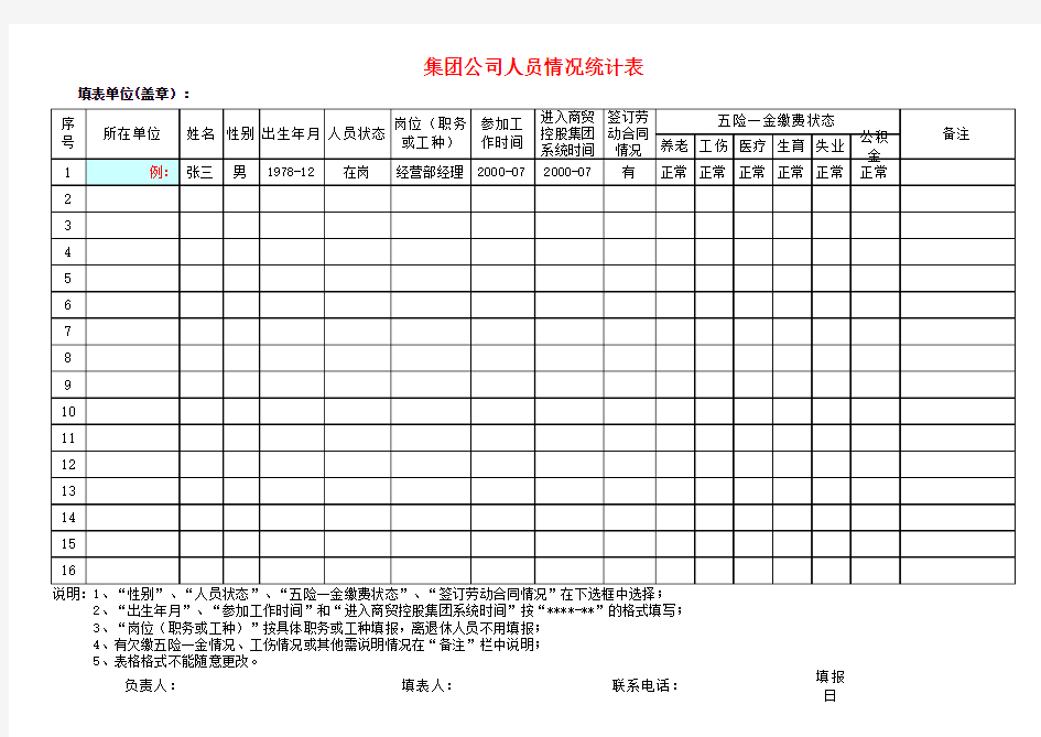 集团公司人员情况统计表模板