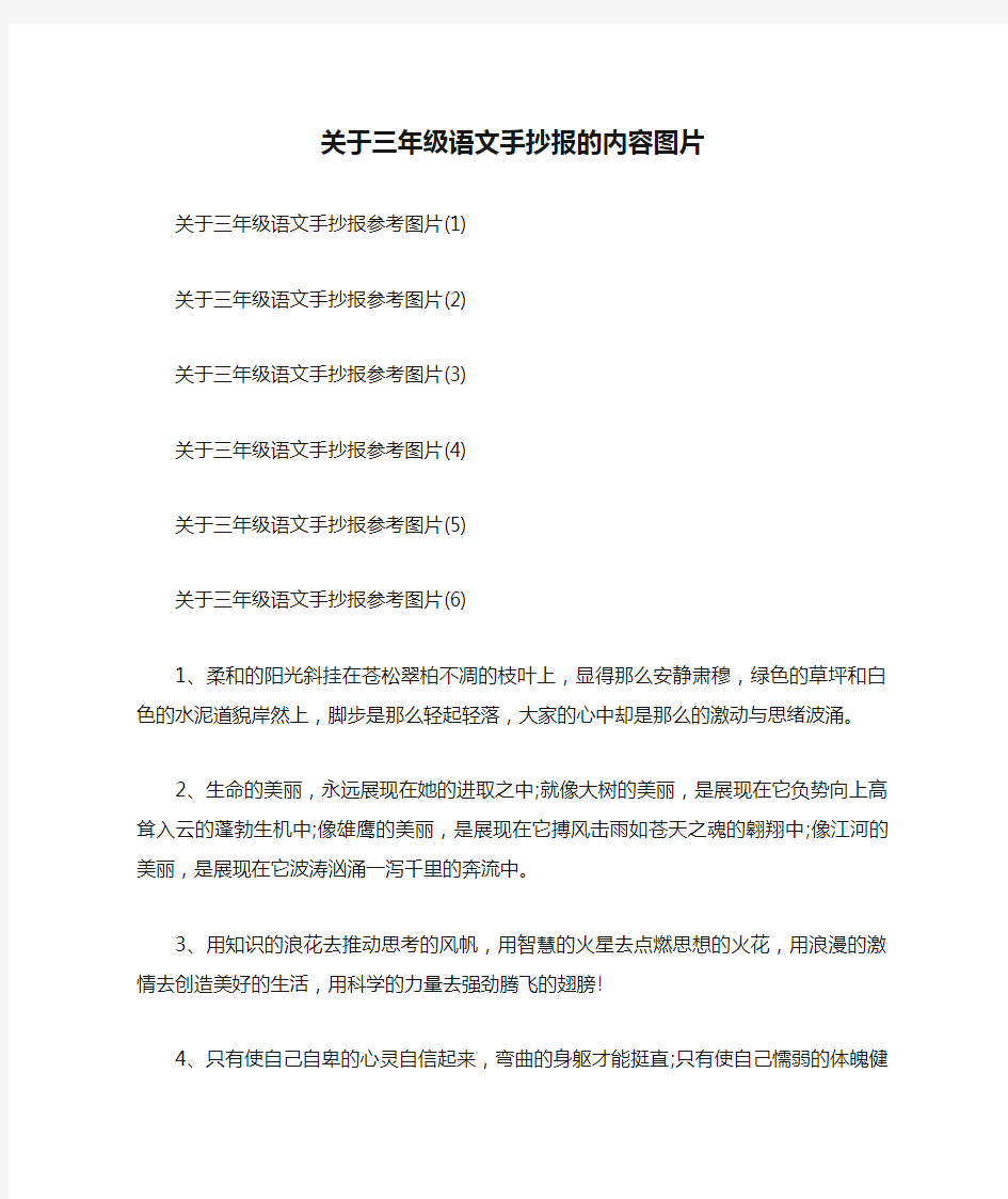 关于三年级语文手抄报的内容图片