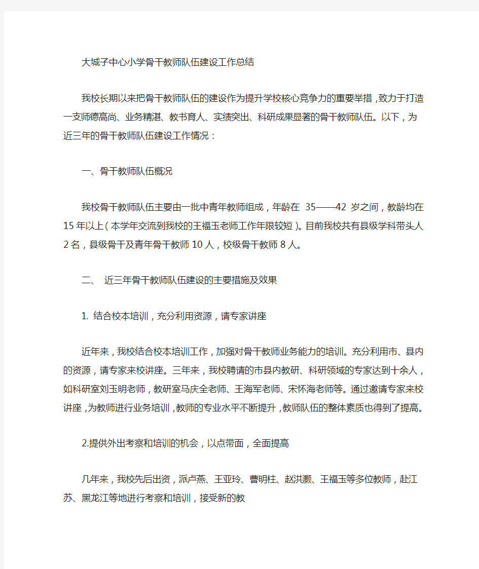 骨干教师队伍建设工作总结