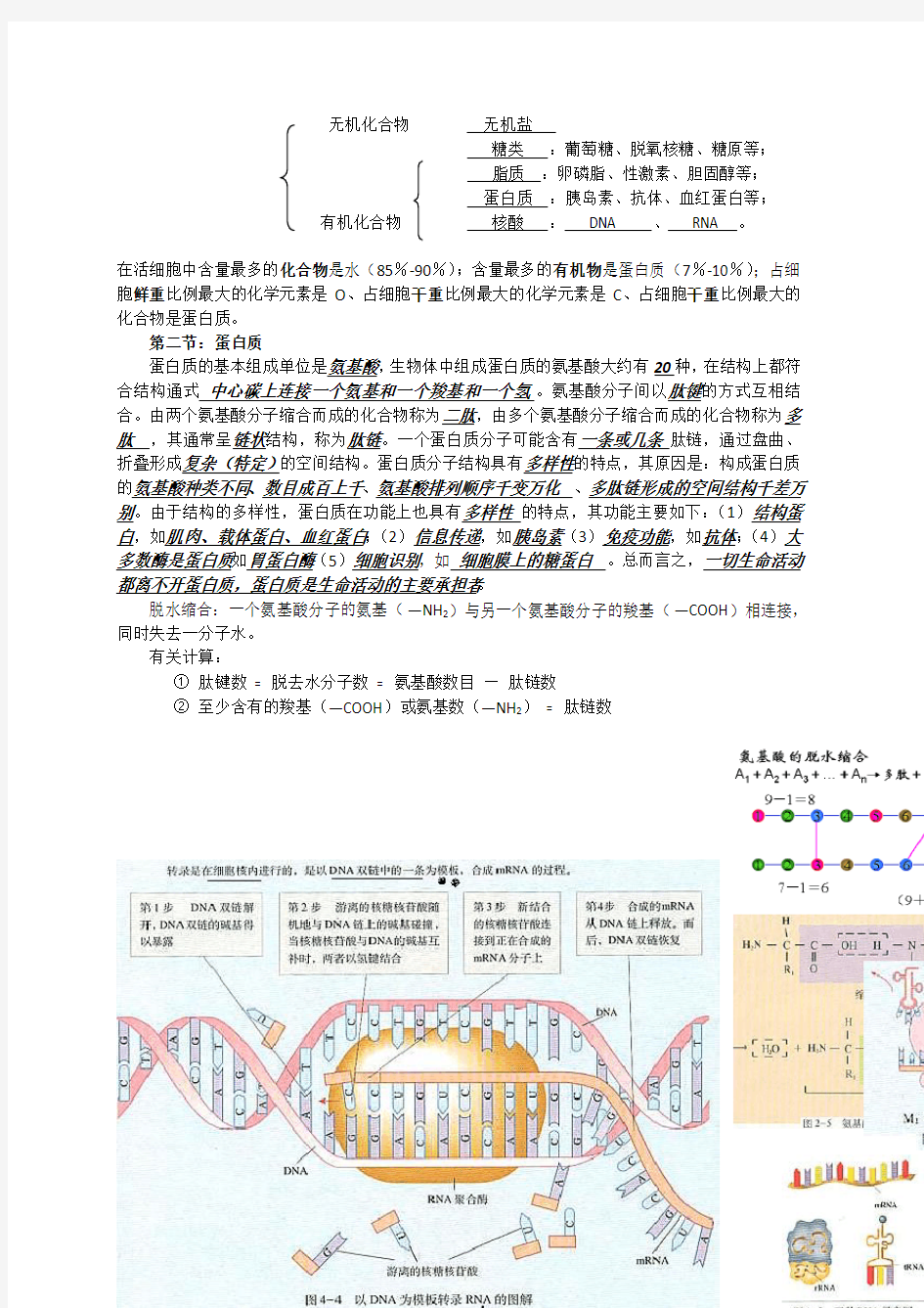 高考必备：高三生物知识点汇编(整理精品包括易错)