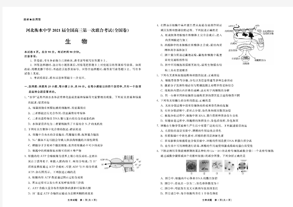 河北衡水中学2021届全国高三第一次联考 生物