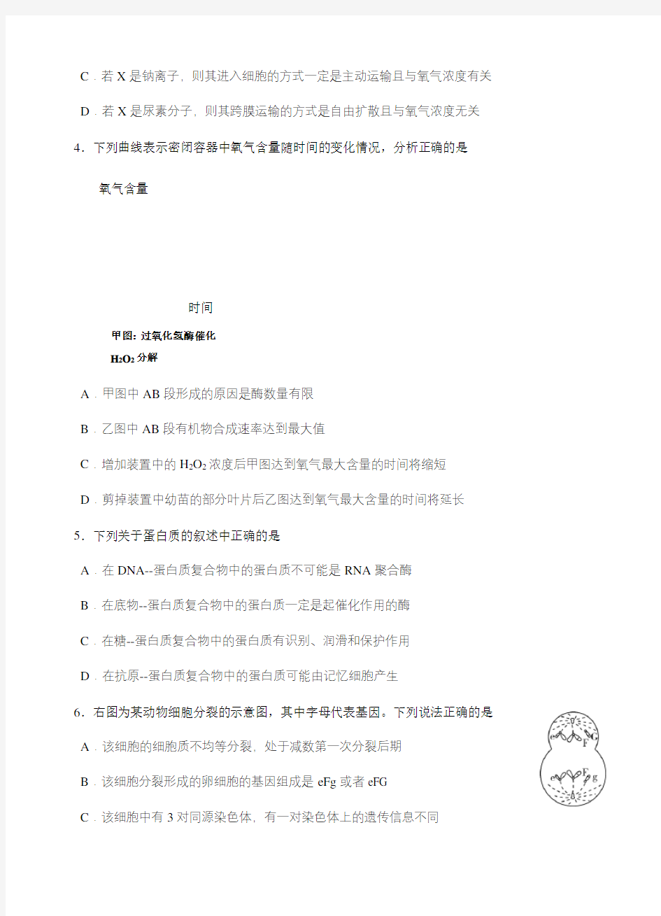 重庆市第一中学2019届高三上学期期中考试理科综合试卷(有答案)