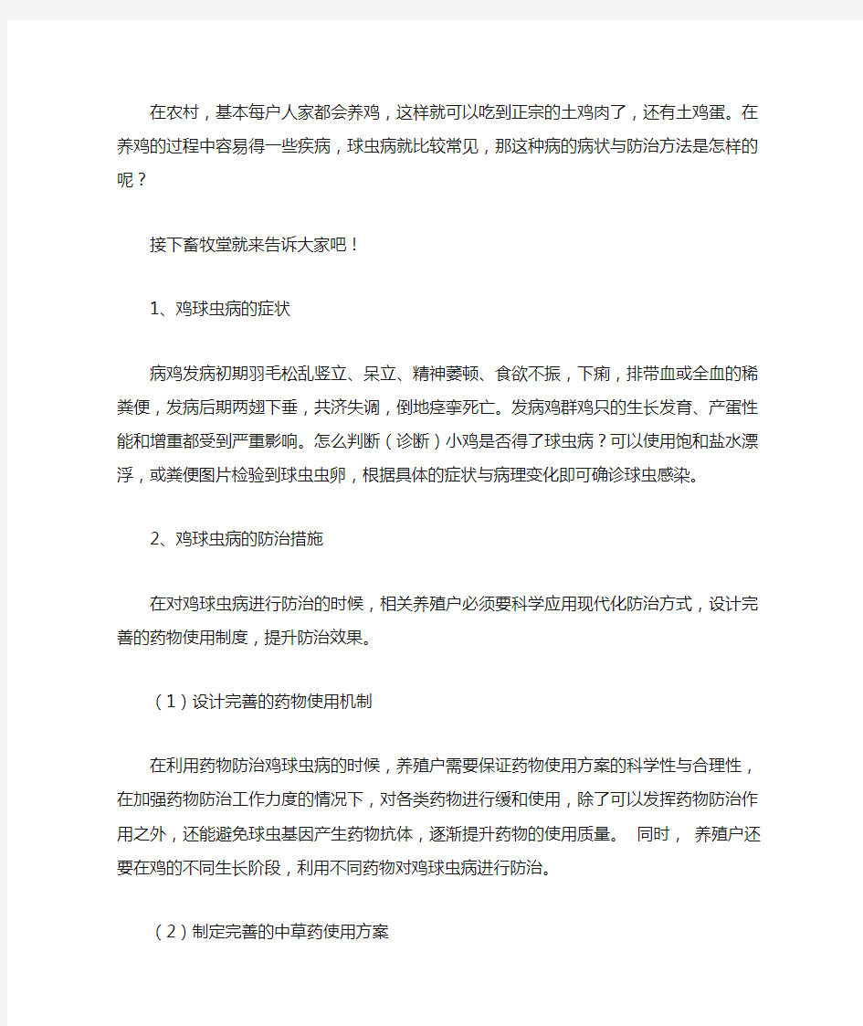 鸡球虫病症状与防治指南