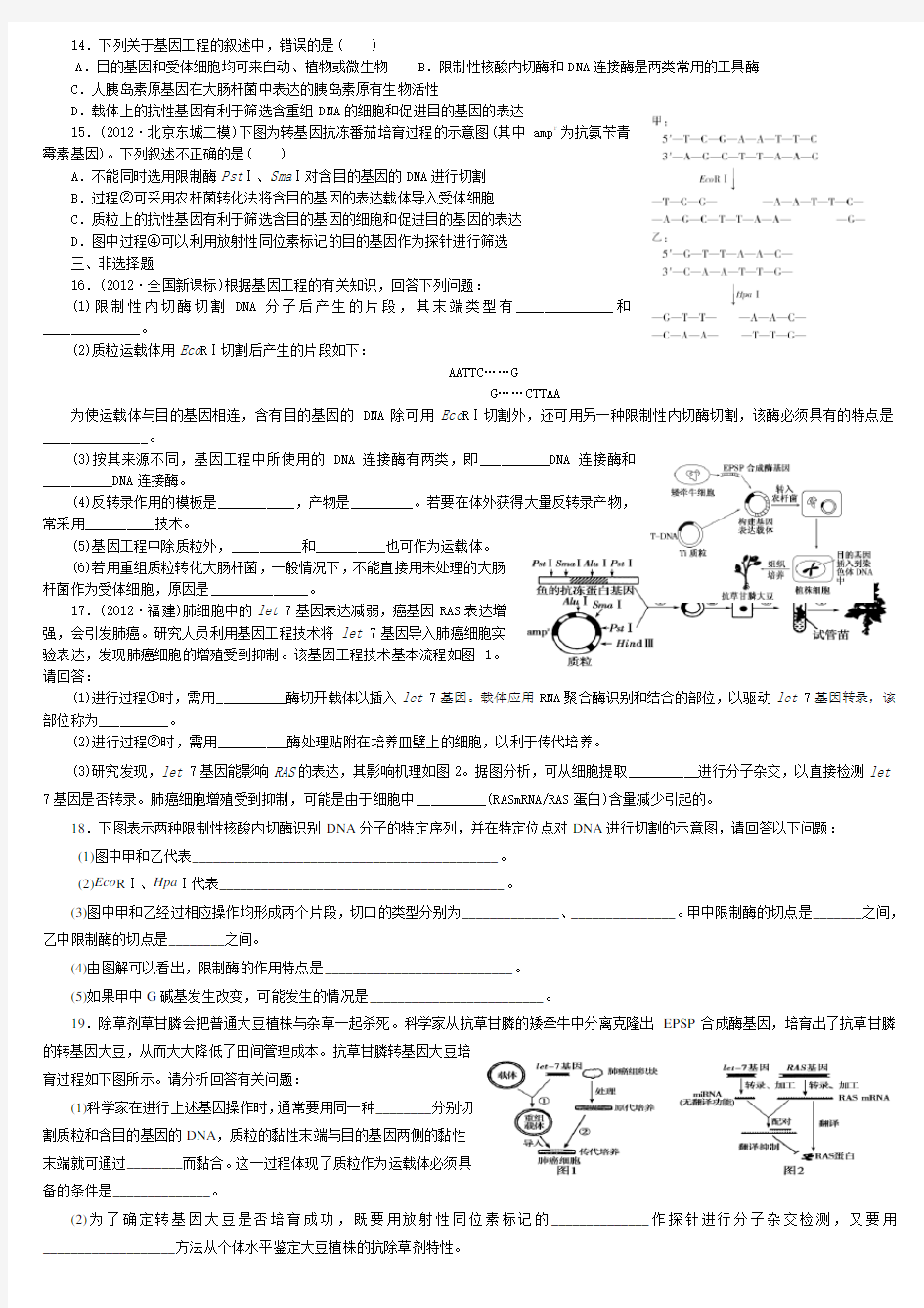 (完整版)专题1基因工程