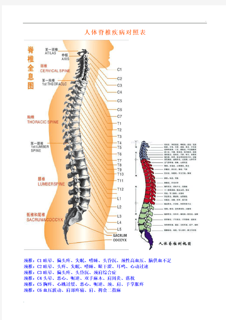 人体脊椎疾病对照表