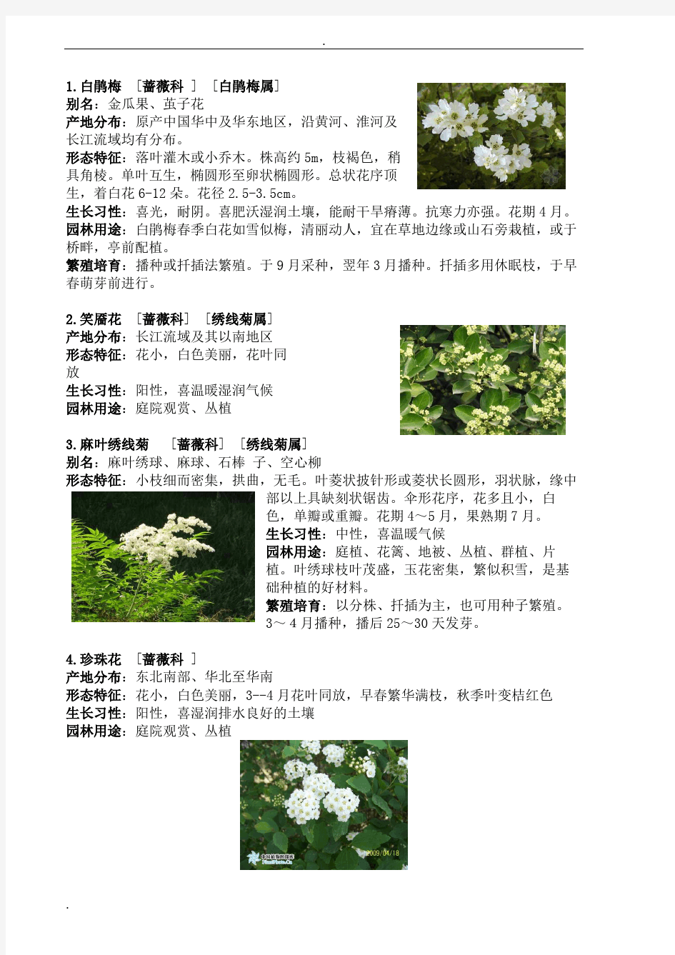 50种木本植物