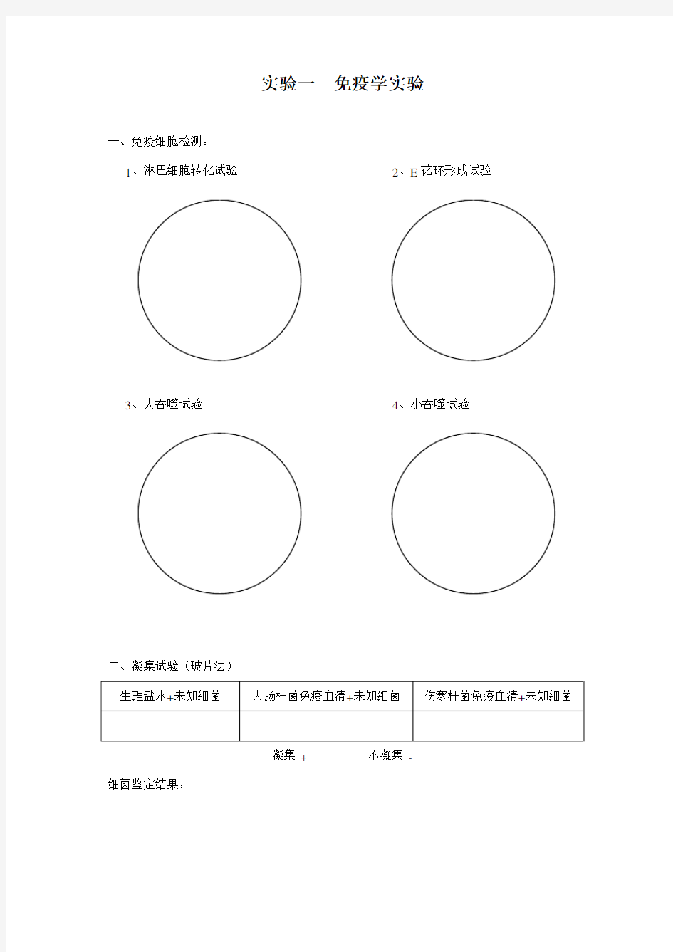 免疫学实验报告