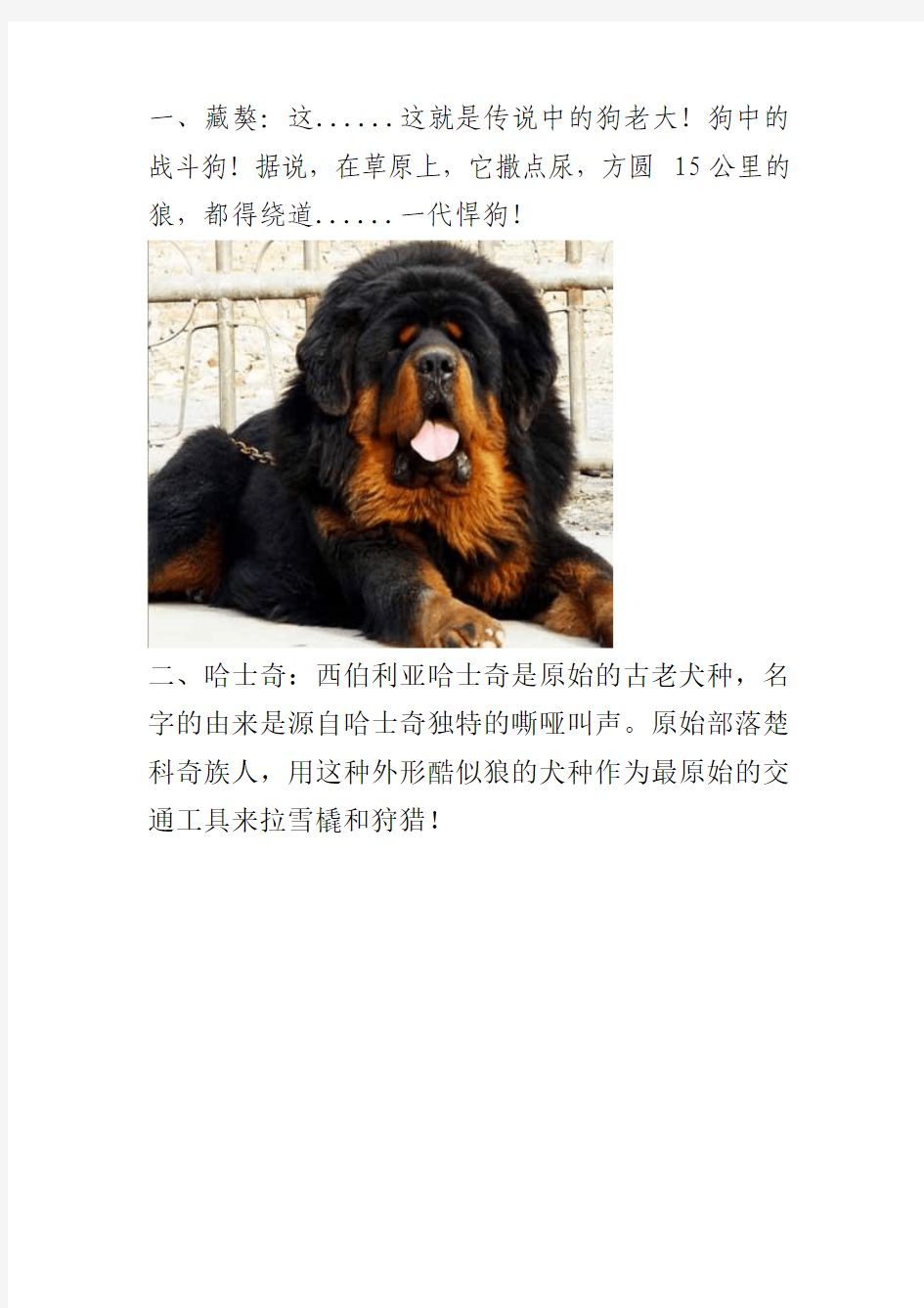 世界名犬排行榜