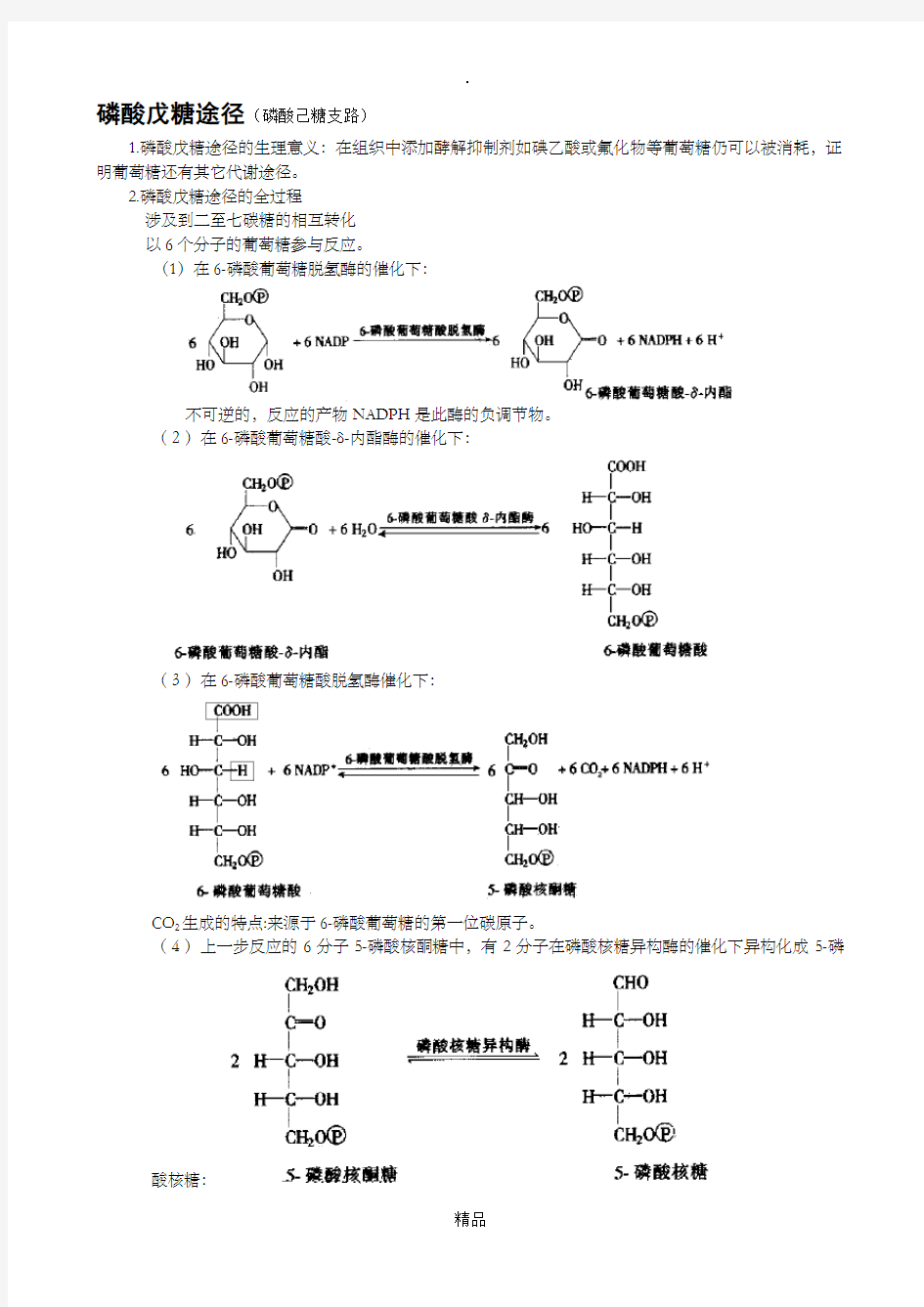 磷酸戊糖途径