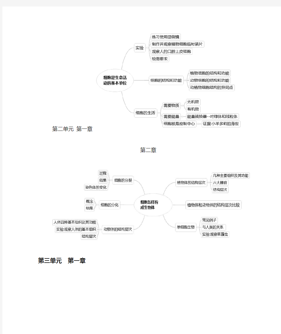 七年级上册生物思维导图