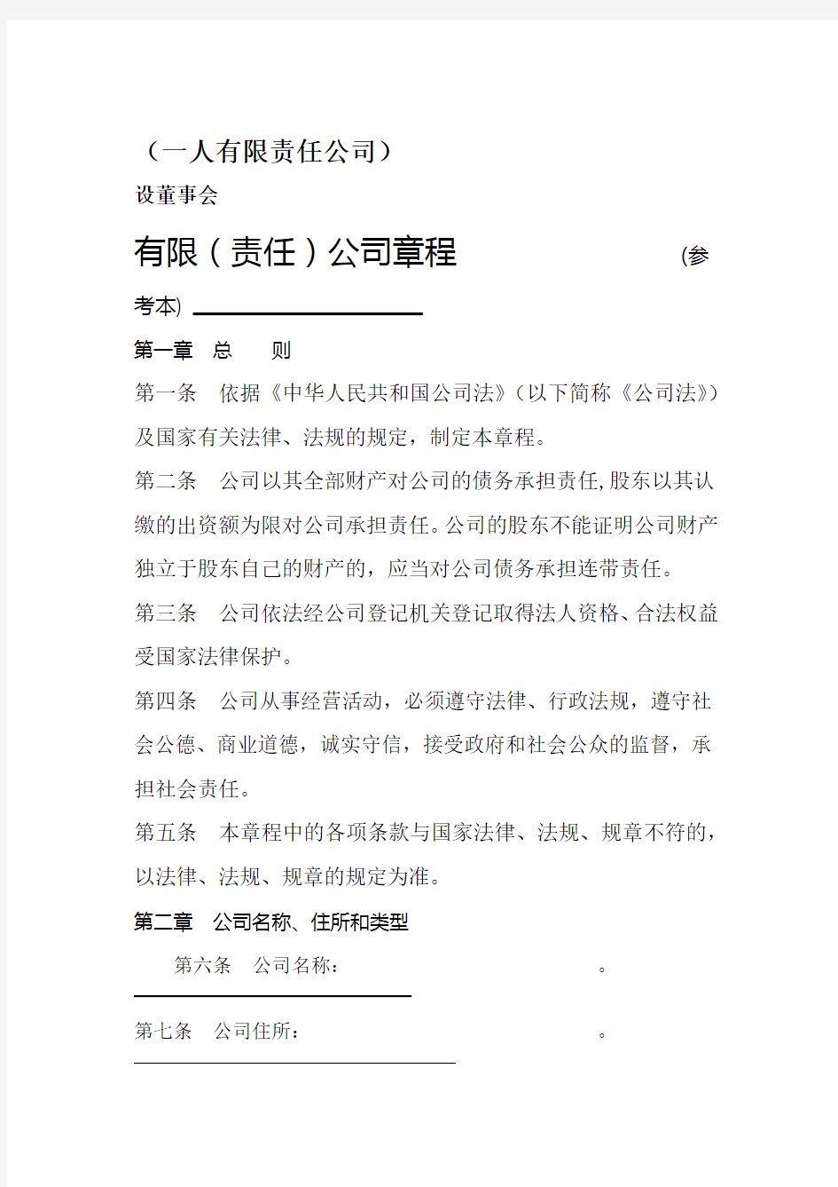 一人有限责任公司设立董事会不设监事会章程