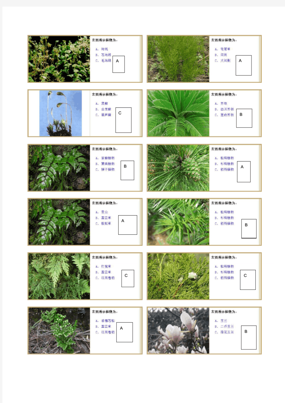 植物学实验题库