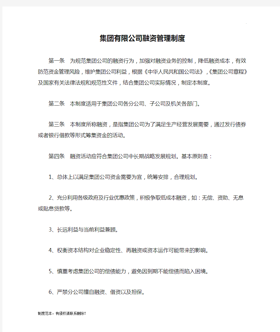 集团有限公司融资管理制度