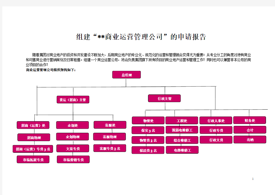 组建商业运营管理公司的申请报告